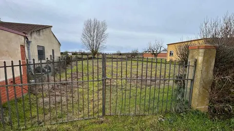 temporal en Benavente  (8)