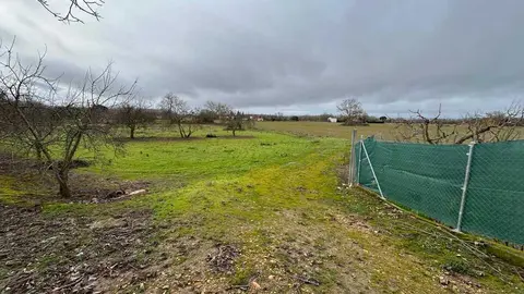 temporal en Benavente  (13)