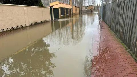 temporal en Benavente  (15)