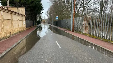 temporal en Benavente  (16)