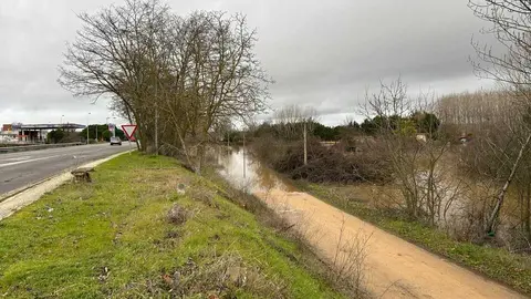 temporal en Benavente  (17)