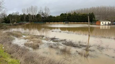 temporal en Benavente  (21)