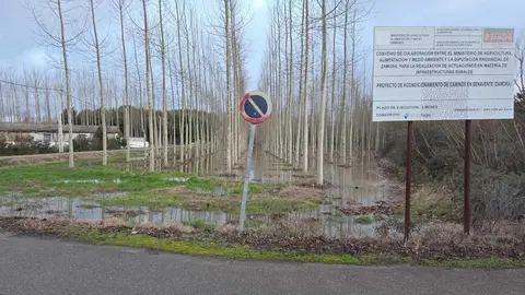 temporal en Benavente  (28)