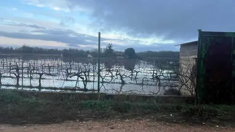 Toro inundaciones Duero _2