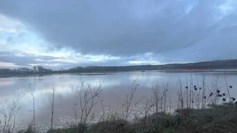 Toro inundaciones Duero _3