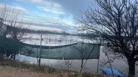 Toro inundaciones Duero _5