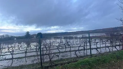 Toro inundaciones Duero _7