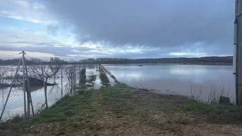 Toro inundaciones Duero _6