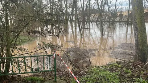 Toro inundaciones Duero _13