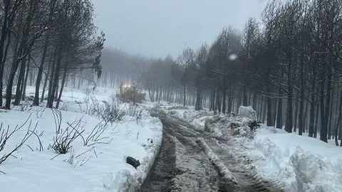 alta sanabria foto ahora decide