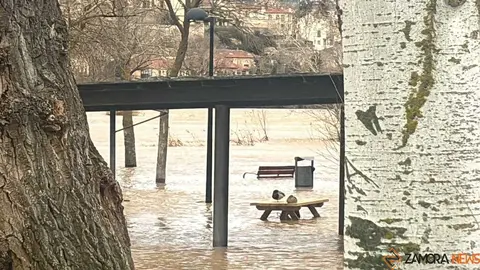 El r&iacute;o Duero a su paso por Zamora _7