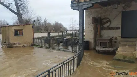 El r&iacute;o Duero a su paso por Zamora _10
