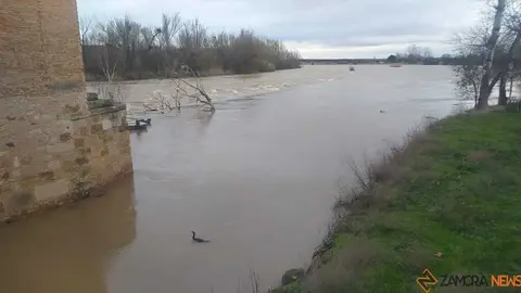 El r&iacute;o Duero a su paso por Zamora _15