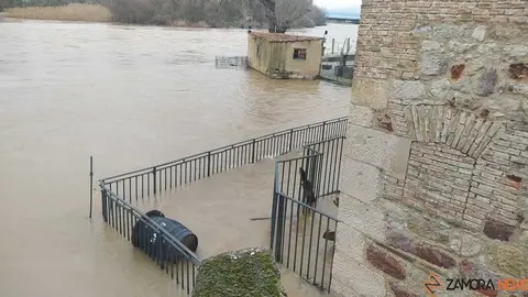 El r&iacute;o Duero a su paso por Zamora _29