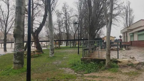 Pelambres a 4 metros