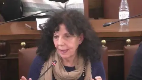 Laura rivera, pleno de la diputaci&oacute;n