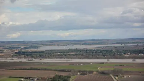 caranaval ni&ntilde;os toro