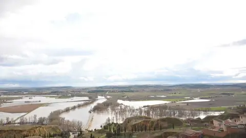 caranaval ni&ntilde;os toro_4