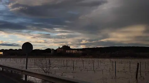 3e8a00ea-bdf5-47e4-8449-0c2a549d6822