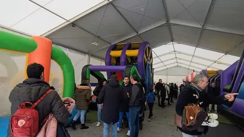 Hinchables Carnaval Zamora 