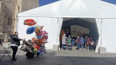 Hinchables Carnaval Zamora _5