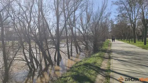 Un paseo por el Duero, crecida _3