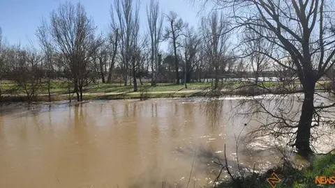 Un paseo por el Duero, crecida _7