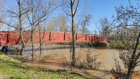 Un paseo por el Duero, crecida _11