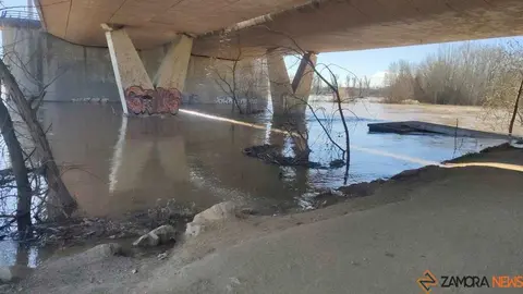 Un paseo por el Duero, crecida _12