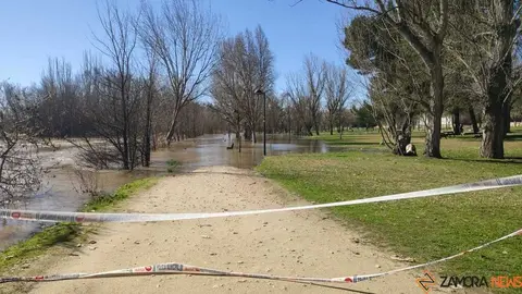 Un paseo por el Duero, crecida _14