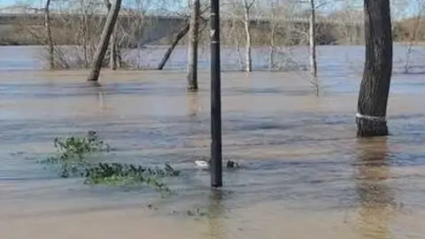 Un paseo por el Duero, crecida _22