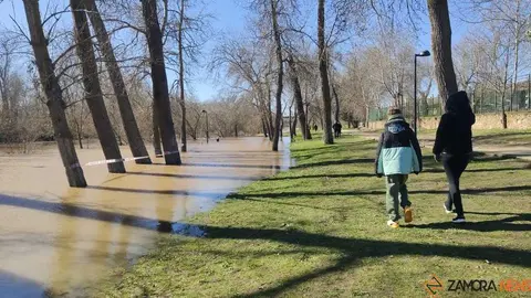Un paseo por el Duero, crecida _27