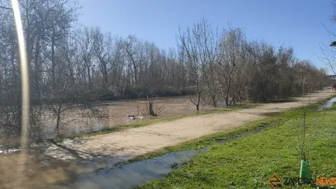 Un paseo por el Duero, crecida _29