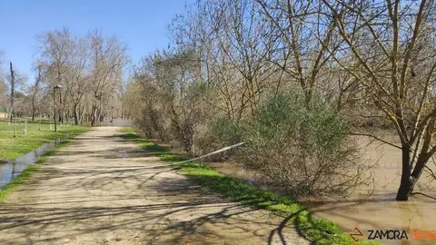 Un paseo por el Duero, crecida _31