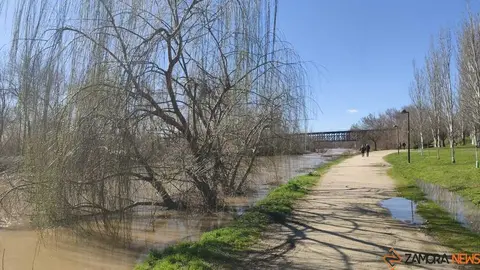 Un paseo por el Duero, crecida _32