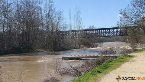 Un paseo por el Duero, crecida _33