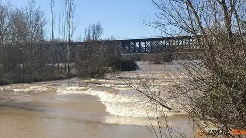 Un paseo por el Duero, crecida _35