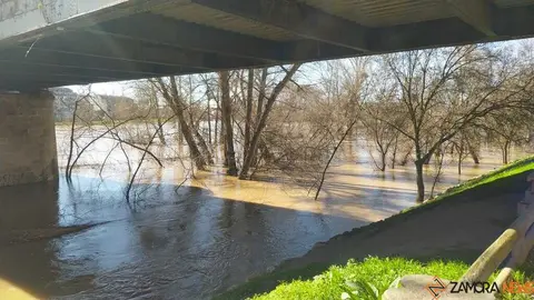 Un paseo por el Duero, crecida _43