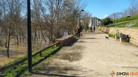 Un paseo por el Duero, crecida _44