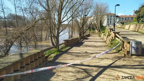 Un paseo por el Duero, crecida _45