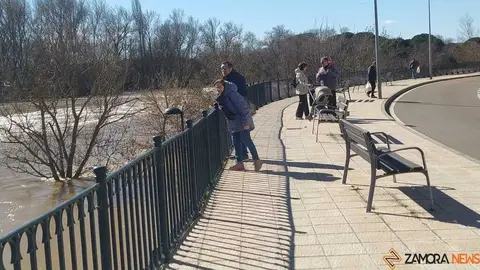 Un paseo por el Duero, crecida _48