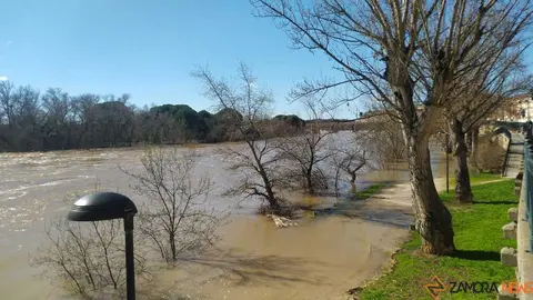 Un paseo por el Duero, crecida _50