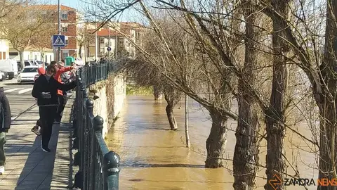 Un paseo por el Duero, crecida _52
