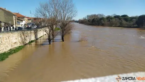 Un paseo por el Duero, crecida _61