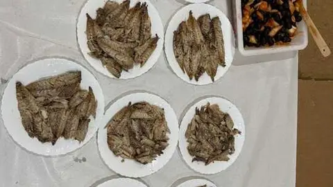 Ca&ntilde;o reguero Santib&aacute;&ntilde;ez de Tera_8