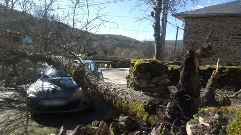 Da&ntilde;os de la borrasca en Zamora_4