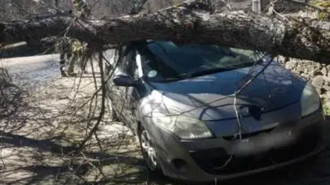 Da&ntilde;os de la borrasca en Zamora_6