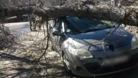 Da&ntilde;os de la borrasca en Zamora_8