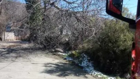 Da&ntilde;os de la borrasca en Zamora_9