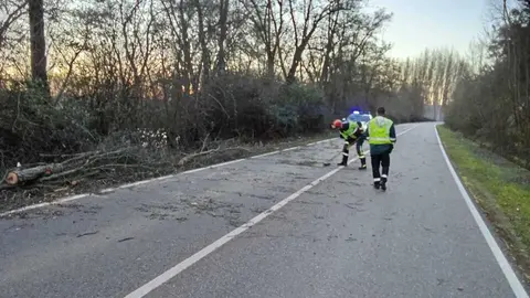 Da&ntilde;os de la borrasca en Zamora_12